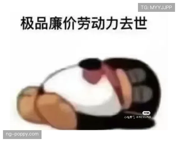 孔帕尼逛菜市场拎着几只名牌袋子,瞬间让我觉得自己贫穷成表情包
